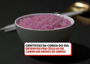 racional, proteína cultivada