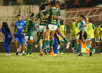 Campeonato Brasileiro de Futebol Feminino, competição feminina