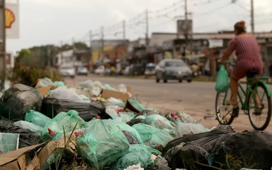 resíduos sólidos, manejo do lixo, tratamento de lixo