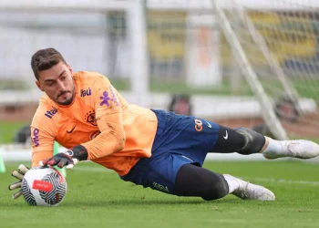 seleção canarinha, time verde e amarelo