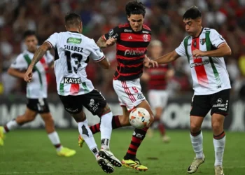 Clube de Regatas do Flamengo, time carioca