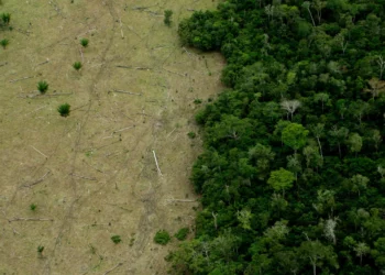 aquecimento, global, mudanças, climáticas;