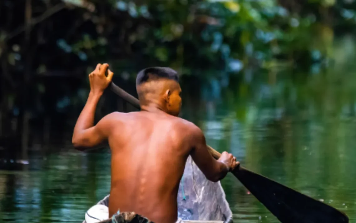 ambientalista, educação verde, ensino ecológico