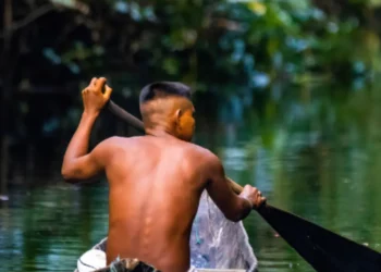 ambientalista, educação verde, ensino ecológico