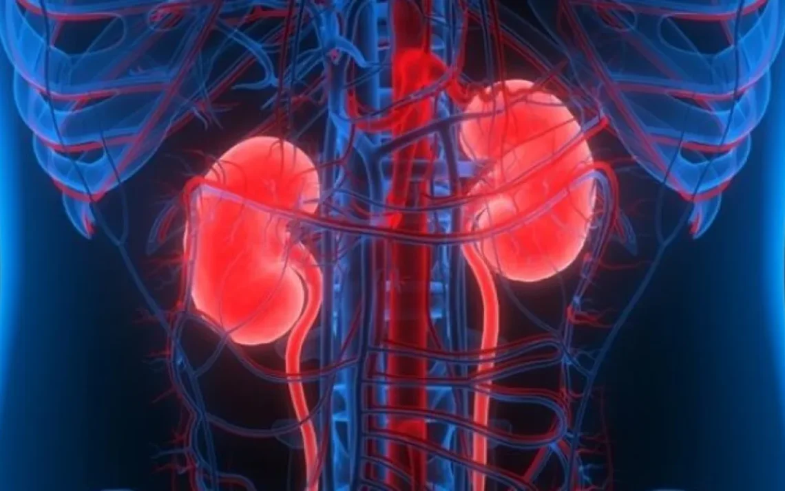 insuficiência renal crônica, nefropatia