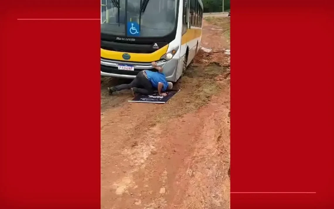 transporte escolar, veículos escolares, ônibus de estudantes