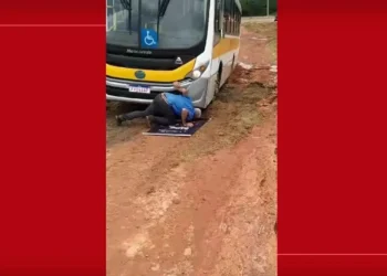 transporte escolar, veículos escolares, ônibus de estudantes