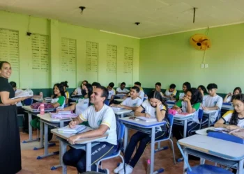 educadores, docentes, profissionais da educação