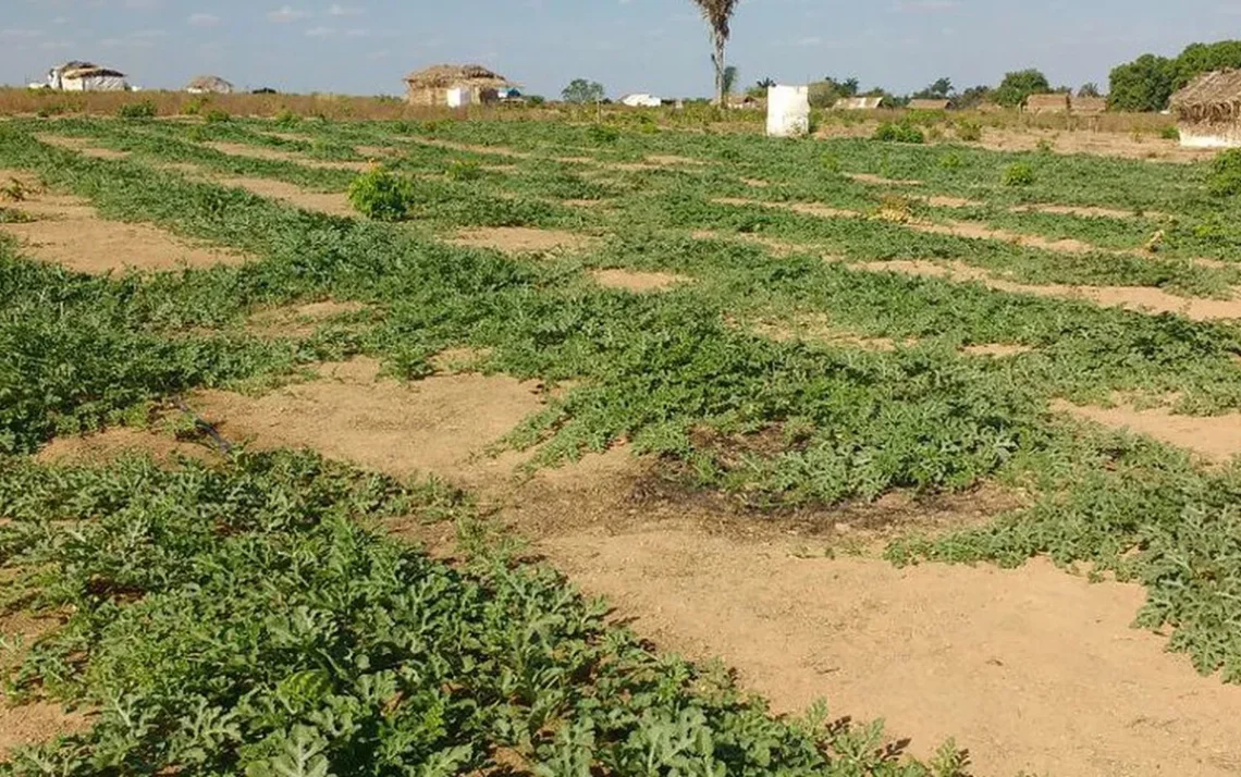 embates no campo, disputas rurais, confrontos agrários