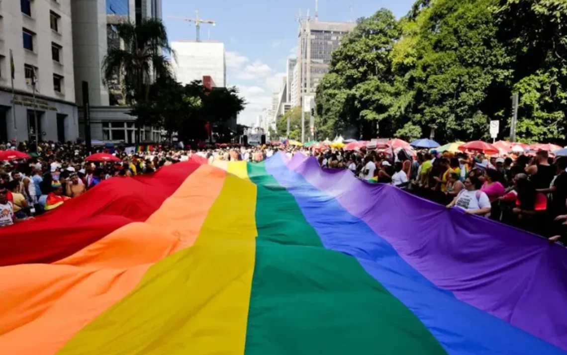 LGBTQIAPN+, comunidade, LGBT+, população, LGBT+;