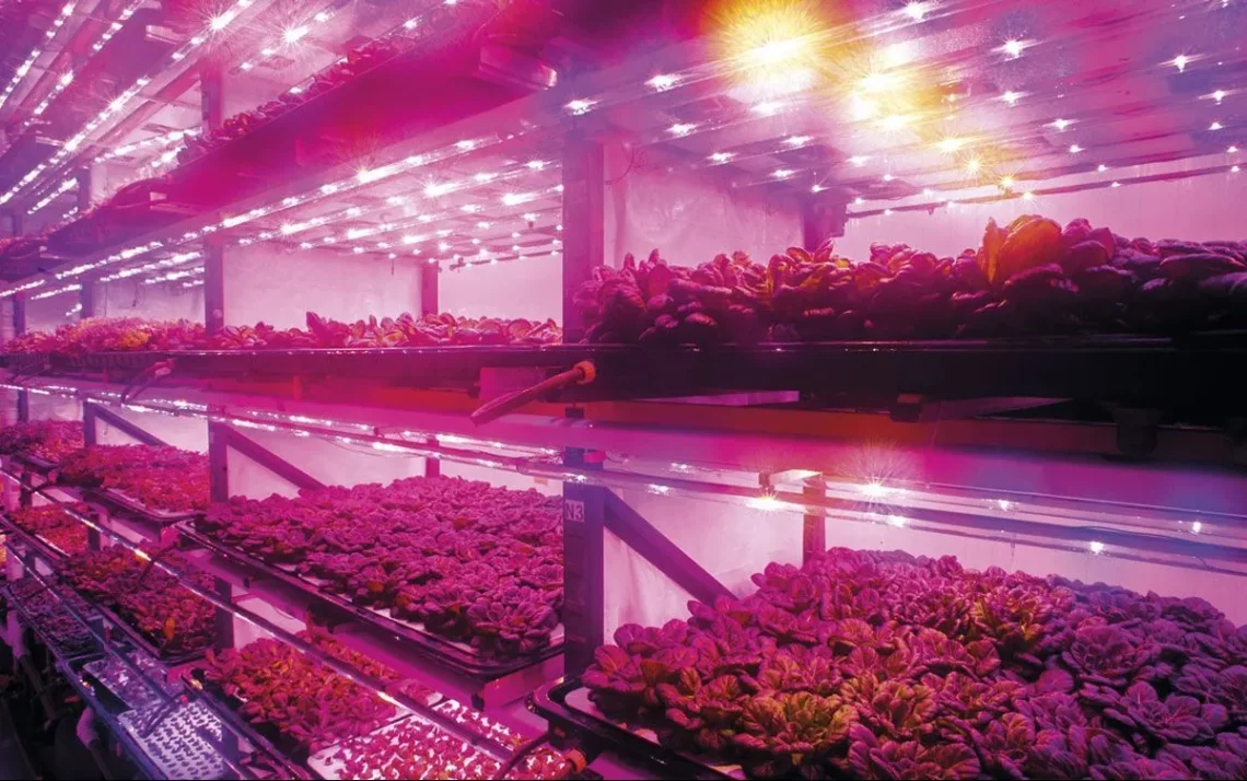 agriculture space