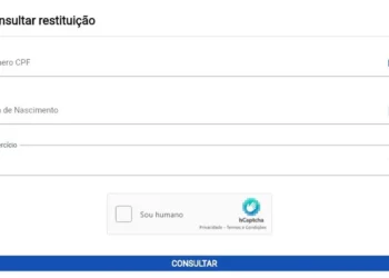 verificar status, obter informações sobre restituição, consultar restituição, ver status da declaração;