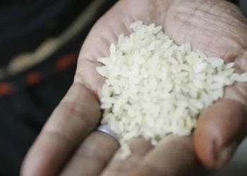 administração, compra, de arroz;