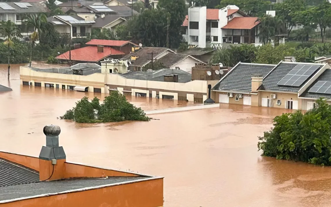 reparação, de estradas, reconstruir, estradas;