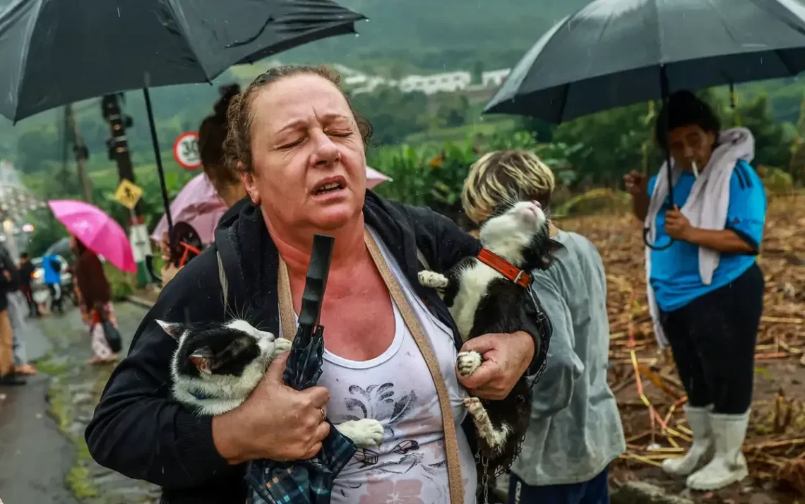 assistência, apoio, financeiro;