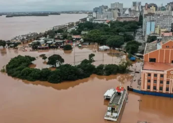 doença, bacteriana, infecção, leptospira, contaminação, urina animais;