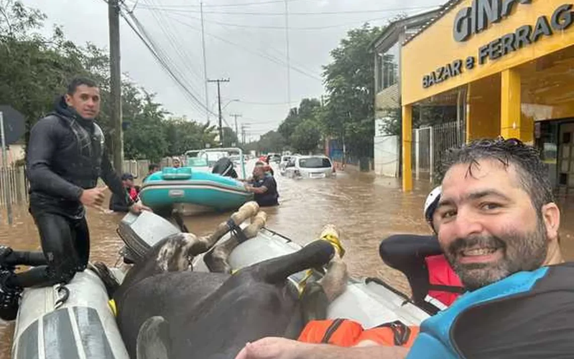 engajados, solidariedade, ajudar, tragédia, catastrófico, RandS, capital, gaúcha, imediações, capital, gaúcha, imediações, onda, de solidariedade, rio, grande do, sul, vítimas, precisam, necessário, vasculhamos, recuperar, melhores, condições, Ufrgs, casos, de resgate, de animais, repercussão, temporais, estado, Defesa Civil, boletim, pessoas, fora, de casa, afetados;