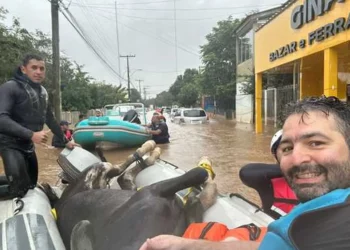 engajados, solidariedade, ajudar, tragédia, catastrófico, RandS, capital, gaúcha, imediações, capital, gaúcha, imediações, onda, de solidariedade, rio, grande do, sul, vítimas, precisam, necessário, vasculhamos, recuperar, melhores, condições, Ufrgs, casos, de resgate, de animais, repercussão, temporais, estado, Defesa Civil, boletim, pessoas, fora, de casa, afetados;