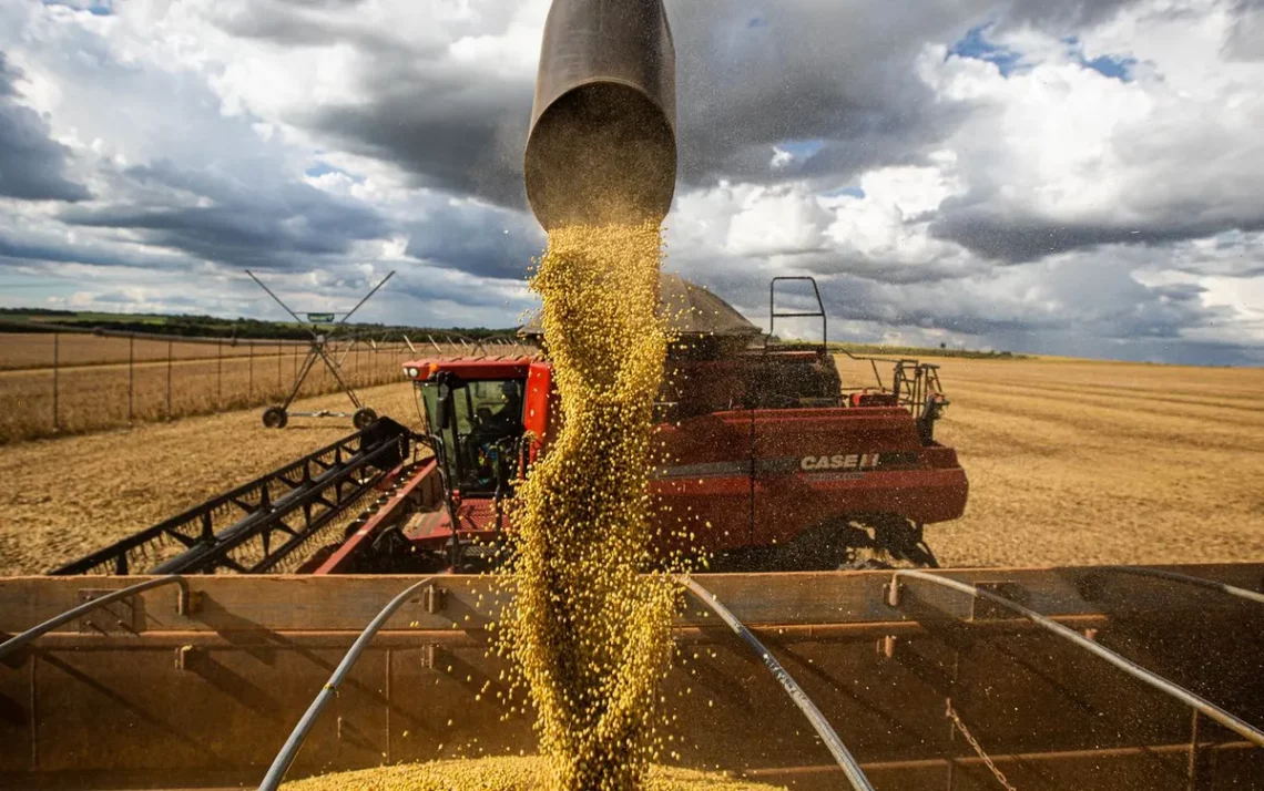 produção, agroindustrial, setor, agroindustrial, indústria, agropecuária;