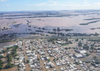 semana, celebrações, meio ambiente;