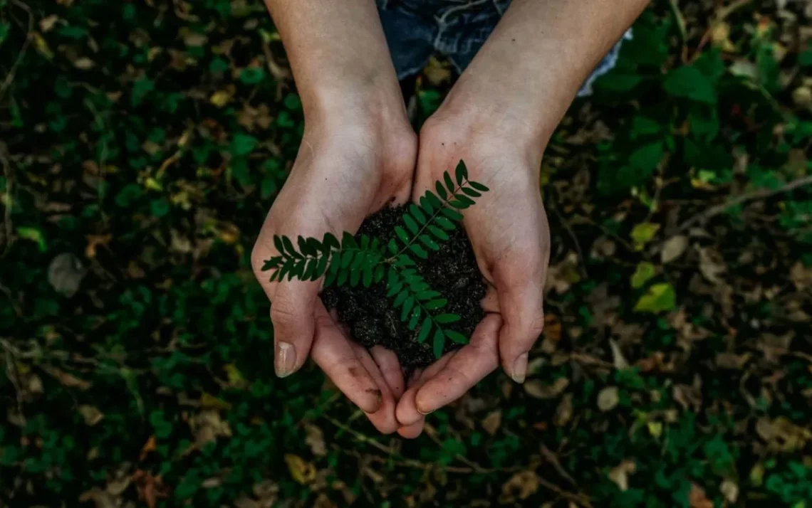 neutralização, neutralização de emissões, neutralização de carbono;