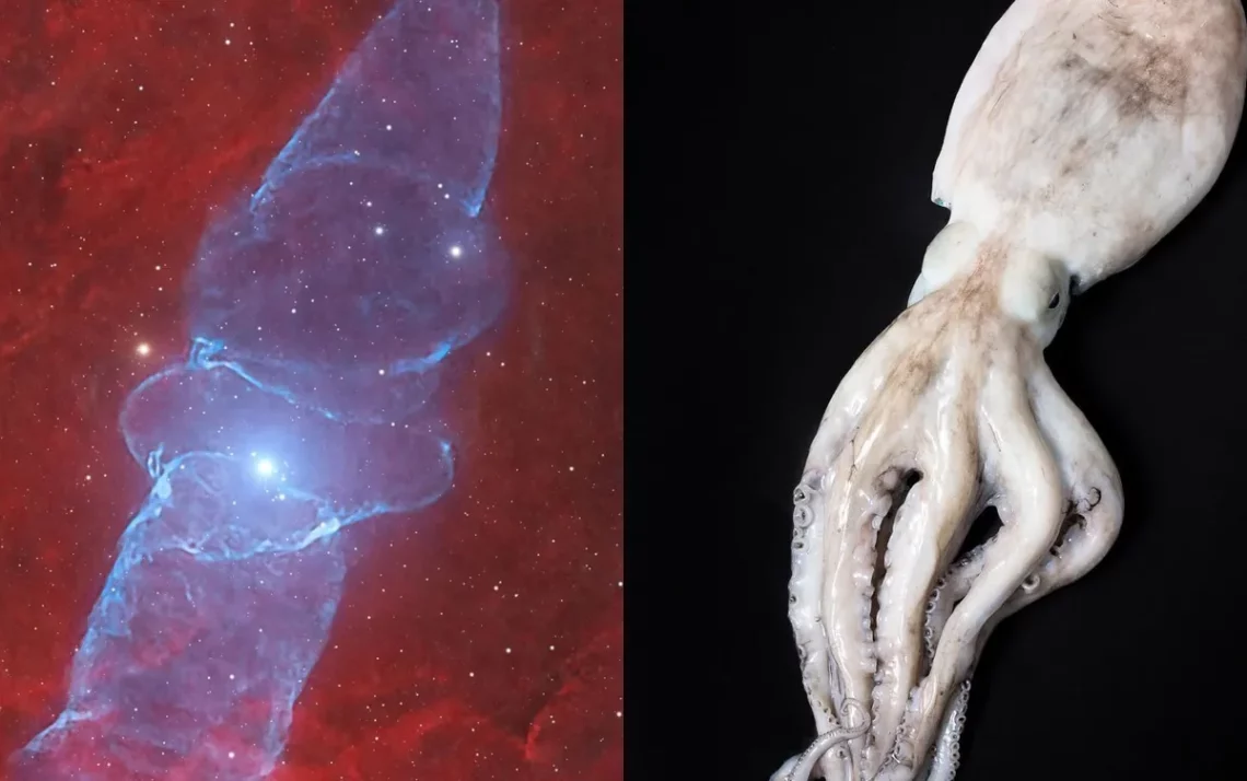 nebulosa conhecida como Lula Gigante;