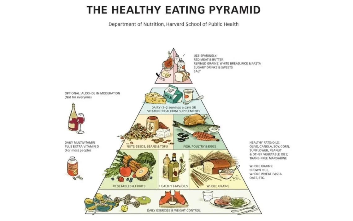 esquema, alimentar, guia, alimentar, modelo, alimentar;