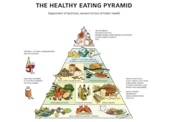 esquema, alimentar, guia, alimentar, modelo, alimentar;