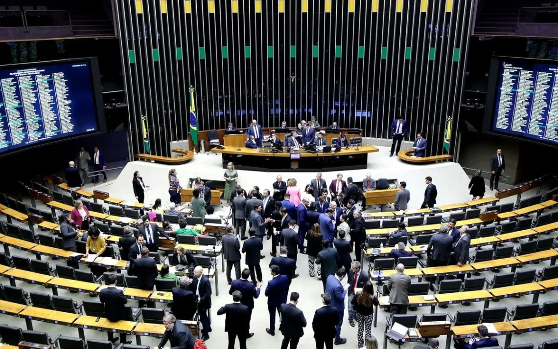 Educação, Nacional, ensino, instrução;