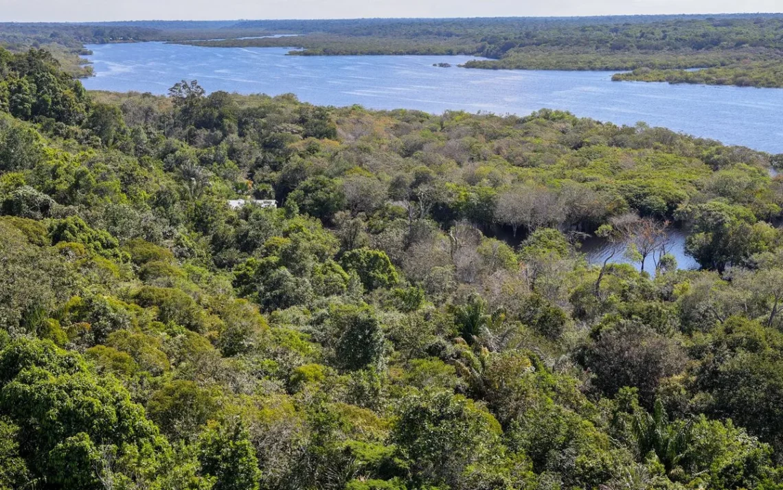 floresta, tropical, Reserva, Sustentável do Rio Negro, comunidade tradicional;