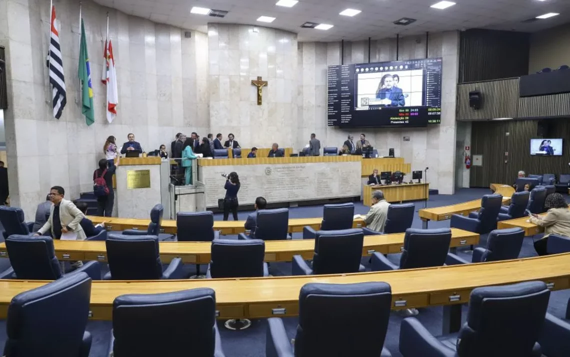 vereadoras, candidaturas femininas, gênero;