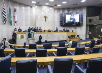 vereadoras, candidaturas femininas, gênero;