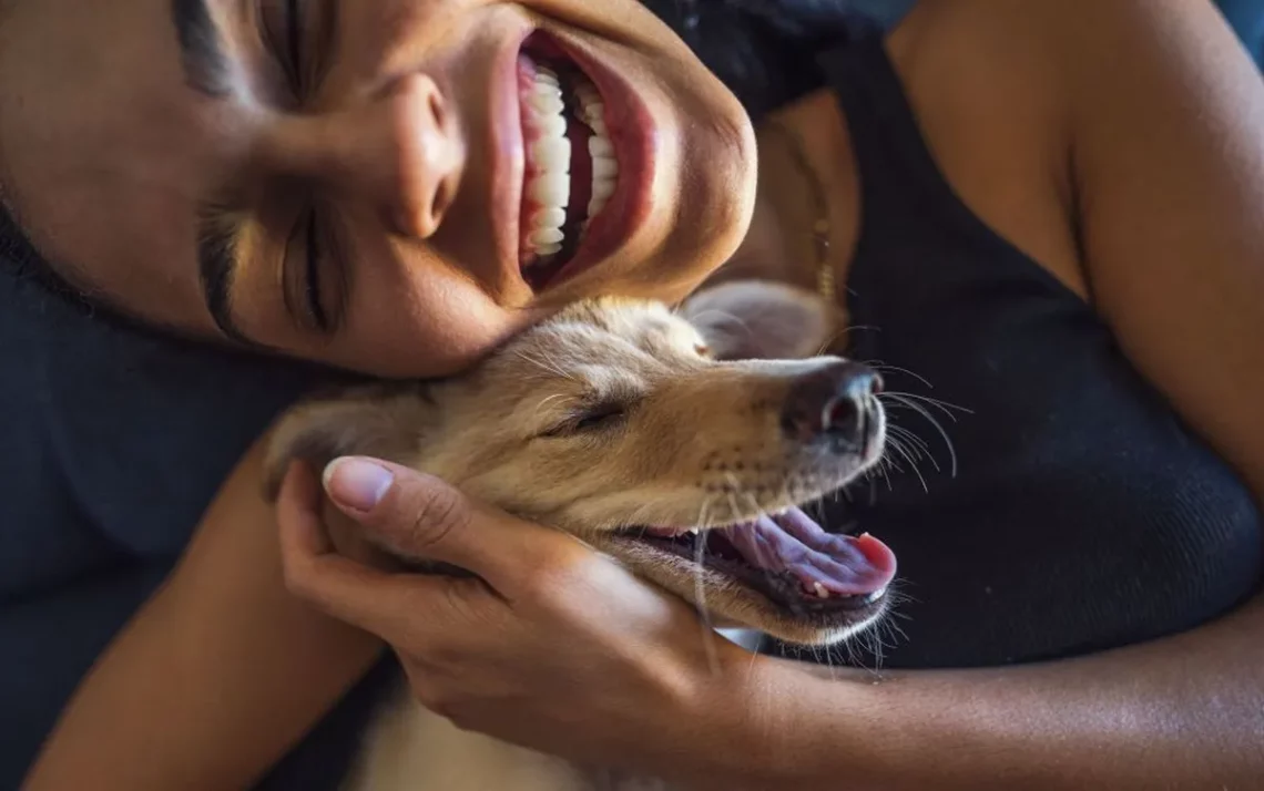 animais de estimação, bichinhos;