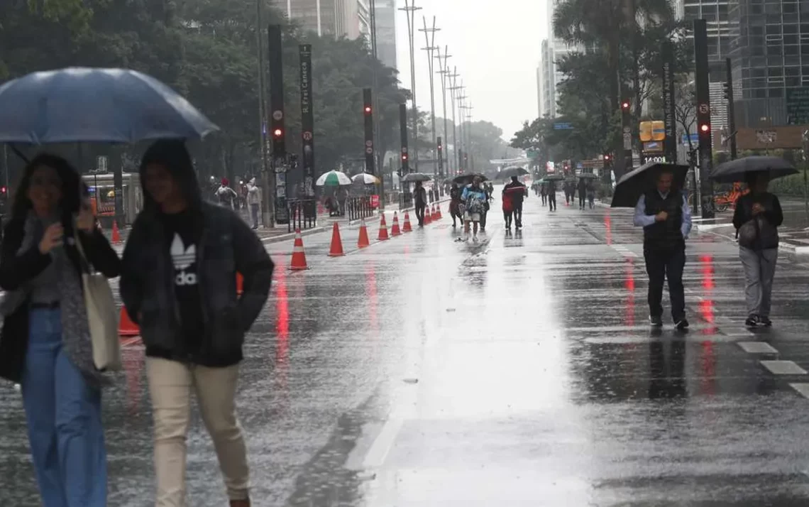 capital, paulista, cidade, de São Paulo;