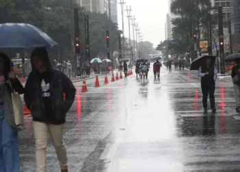 capital, paulista, cidade, de São Paulo;