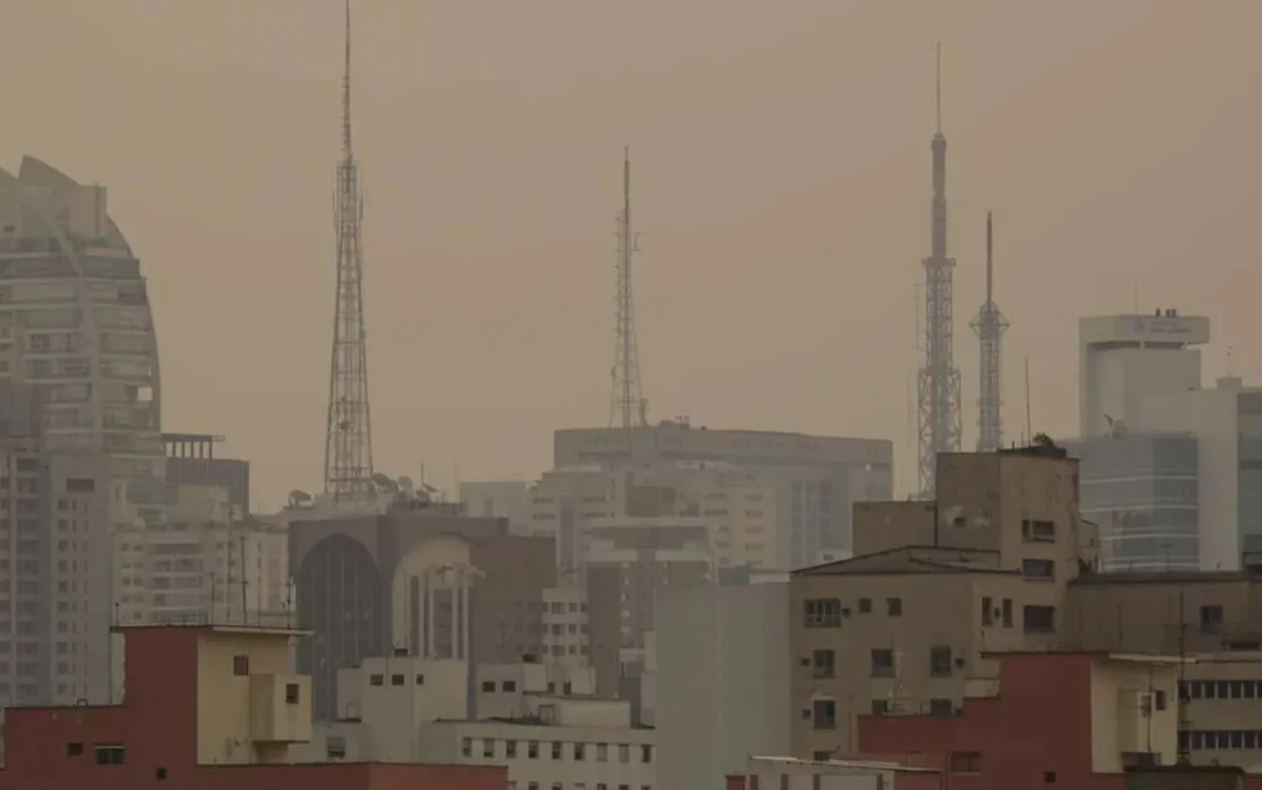 queimadas, incêndios, florestais, focos de incêndio;