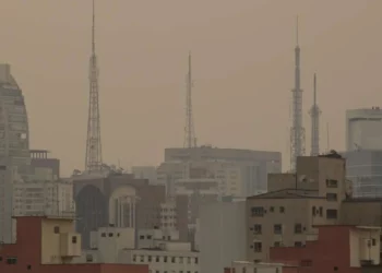 queimadas, incêndios, florestais, focos de incêndio;