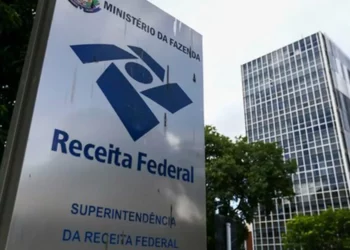 Receita, órgão fiscal, auditores;