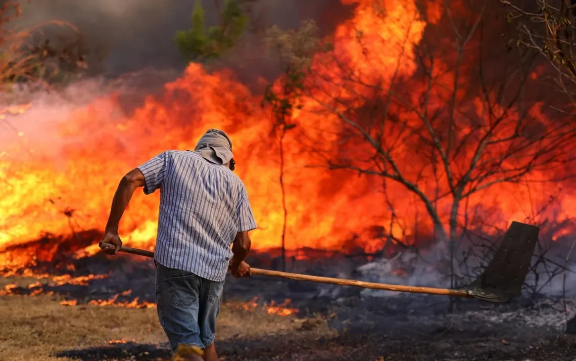 queimadas, chamas, incêndios florestais;