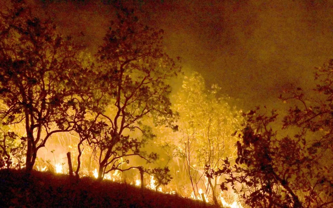 incêndios, incêndios florestais, focos, calor;