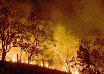 incêndios, incêndios florestais, focos, calor;