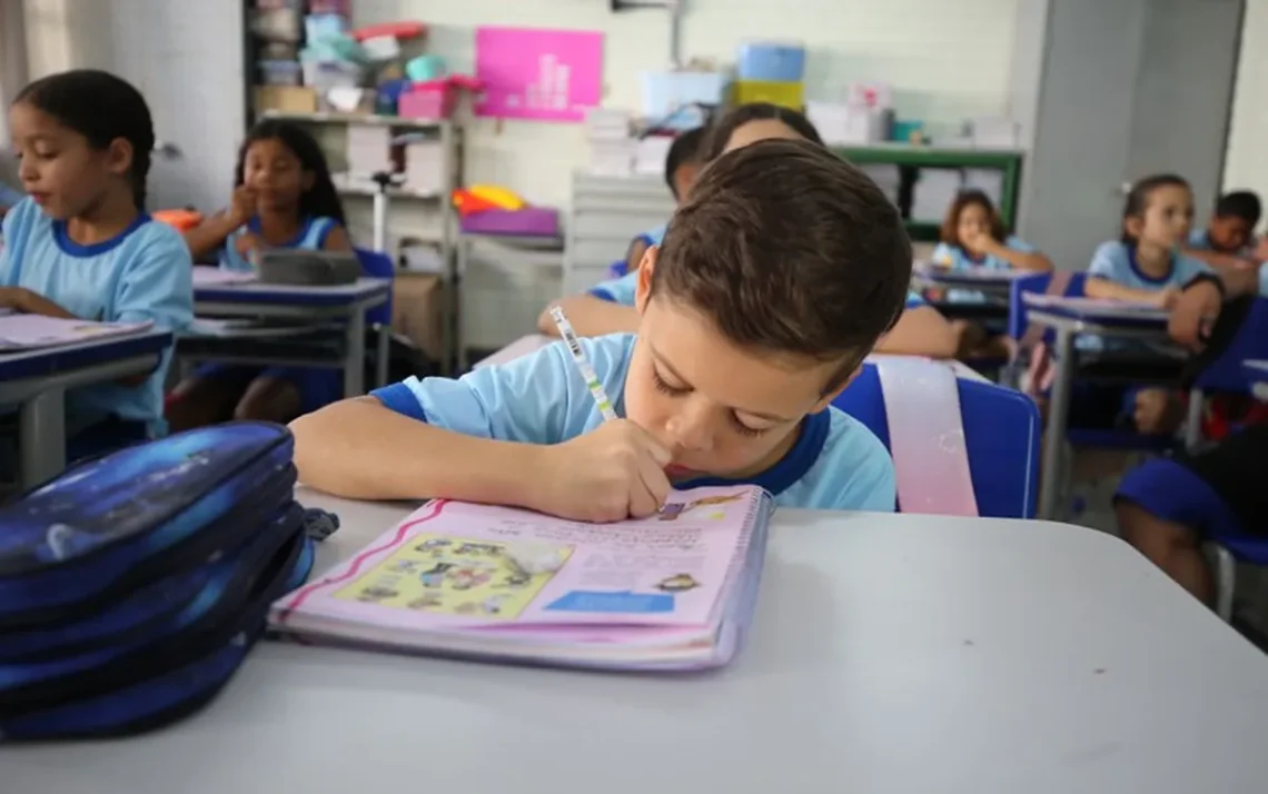 Recuperação de Aprendizagens, Reorganização Curricular, Melhoria dos Índices de Aprendizagem;