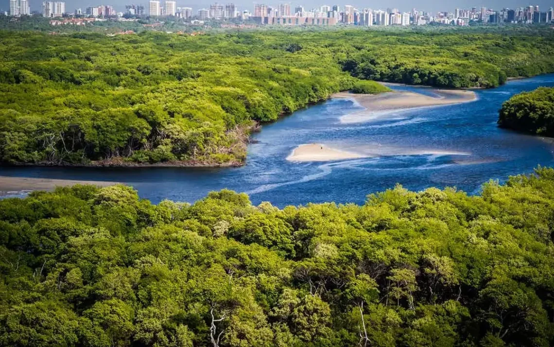 preservação, permanente, corpo, hídrico, urbana, faixa, não edificável, curso, d’água