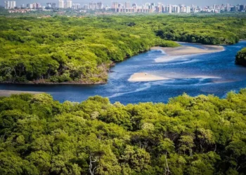 preservação, permanente, corpo, hídrico, urbana, faixa, não edificável, curso, d’água