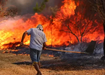 incêndios, focos, de incêndio;