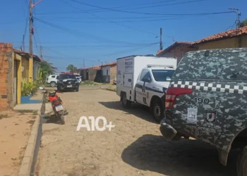 assassinato, homicídio, violência