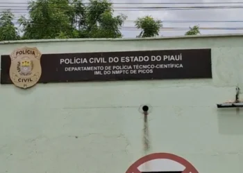 morte violenta, assassinato, execução;