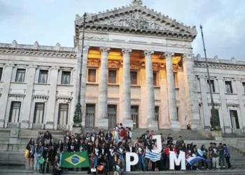 formação, ensino, aprendizado;