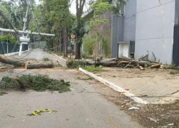 elétrica, fornecimento, apagão;