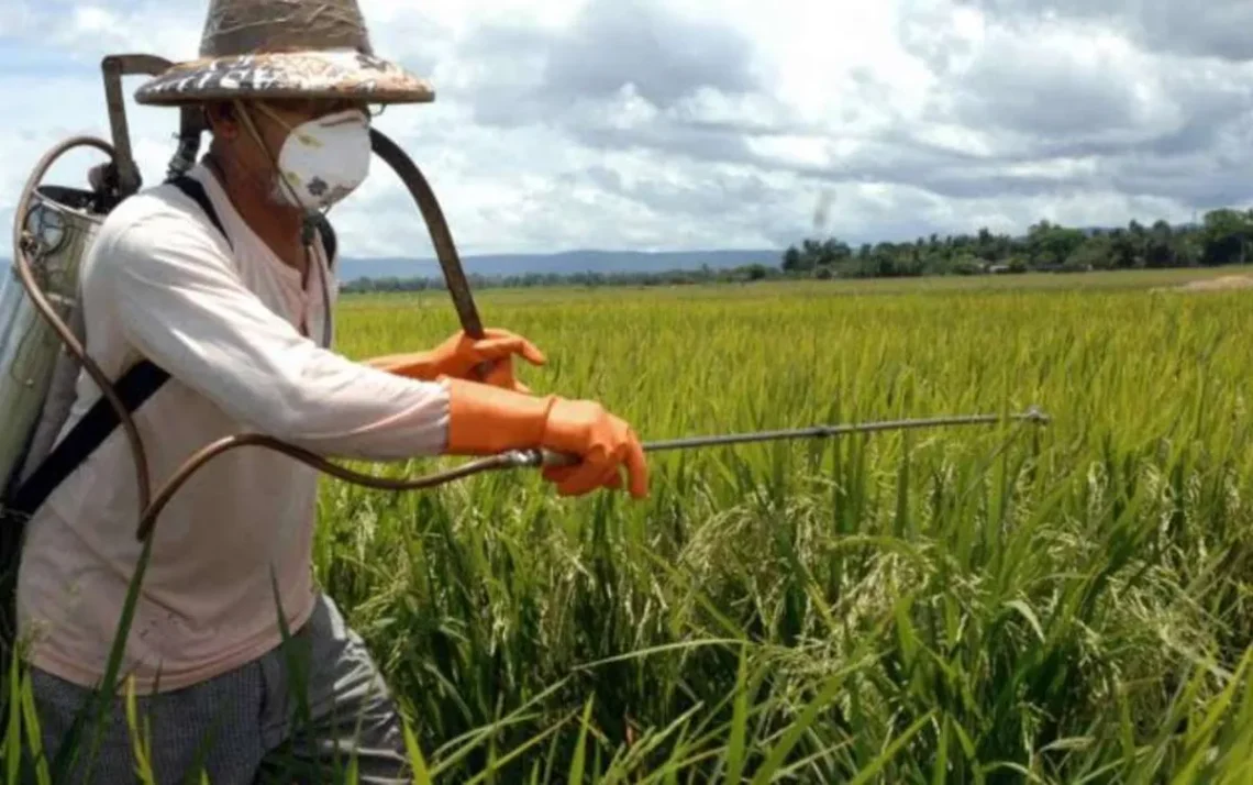 produção, agrícola,segurança, alimentar;